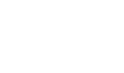 Ethan Allen Ethan Allen